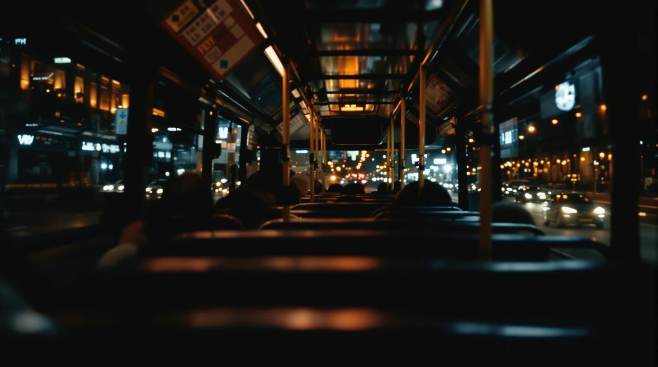 秋霞在线视频-城市之光:午夜巴士代表作封面